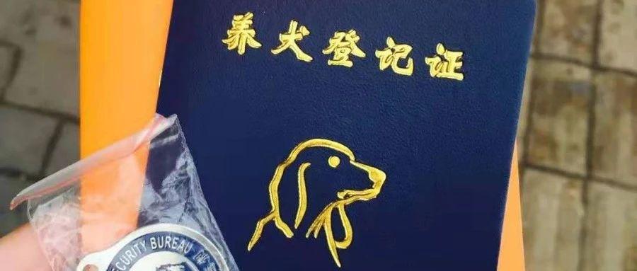 广州狗证多少钱,广州狗证多少钱一年,广州番禺狗证怎么办理？
