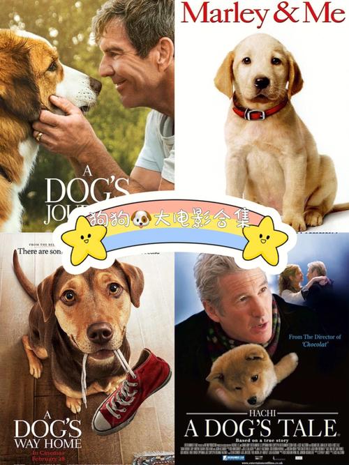 狗狗电影大全,狗狗电影大全感人,关于犬的都有什么电影和电视剧？