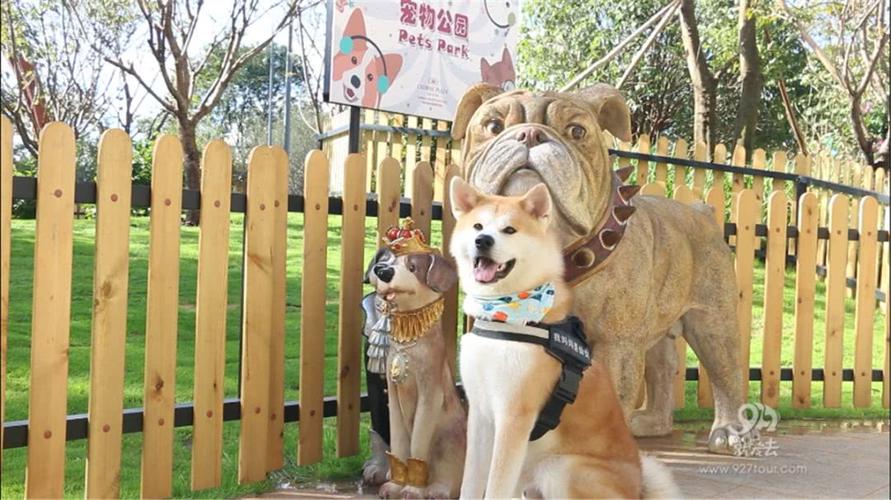 狗狗游乐园,狗狗游乐园在哪里,北京萌宠乐园排名？