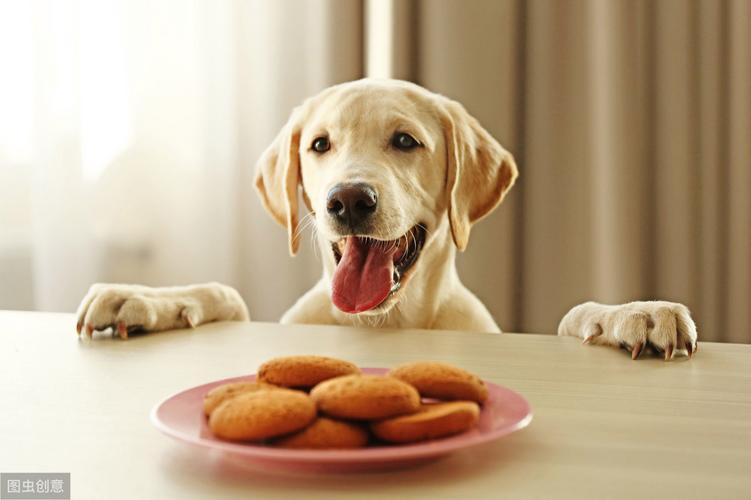 狗狗喜欢什么味道,狗狗喜欢什么味道的食物,狗最怕什么味道？