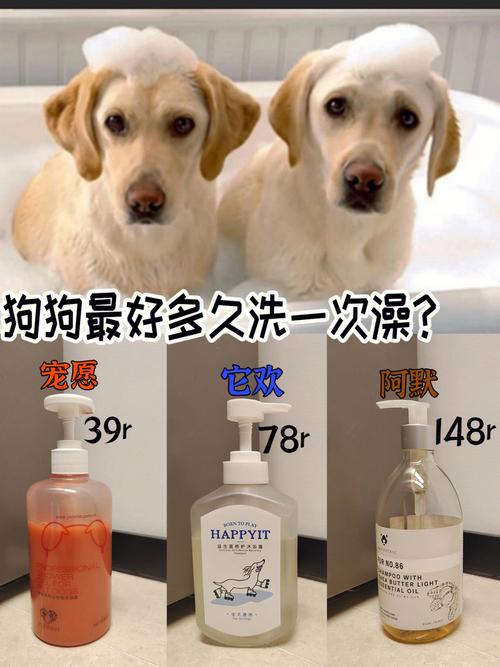 狗狗洗澡价格,狗狗洗澡价格表,帮狗狗洗澡多少钱？