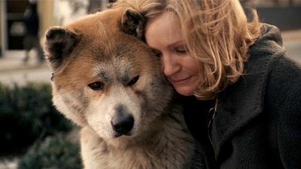 感人的狗狗电影,感人的狗狗电影排行榜,谁能介绍几部关于狗狗与人的电影！（最好要感人的）？