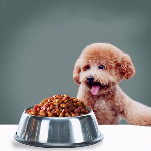 狗狗能吃红豆吗,狗狗能吃红豆吗?,泰迪能不能吃红豆？