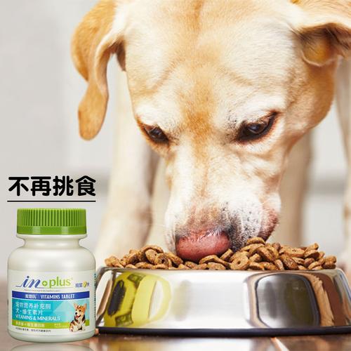 狗狗提高免疫力吃什么,狗狗提高免疫力吃什么药好,狗狗补充维生素吃什么？狗狗喂养方法？