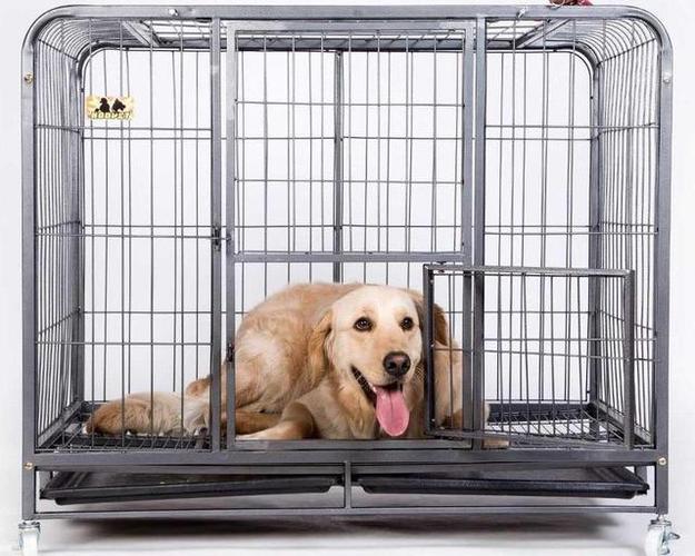 怎么让狗在笼子里不叫,怎么让狗在笼子里不叫唤,怎样让狗狗睡在笼子里不乱叫？