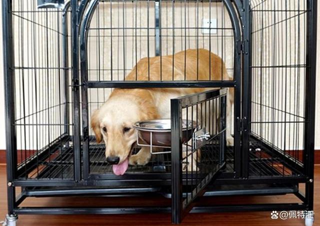 狗狗在笼子里一直叫怎么办,狗狗在笼子里一直叫怎么办都叫哑了,狗狗关笼子一直嘤嘤叫怎么办？