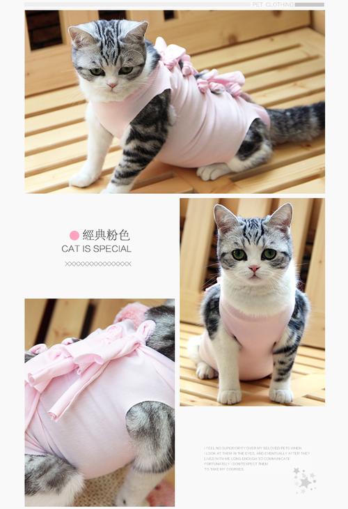 怎么给猫咪做衣服,怎么给猫咪做衣服教程,怎样给小猫做衣服？