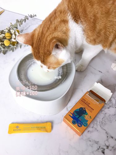猫咪益生菌怎么喂,猫咪益生菌怎么喂食,益生菌猫咪一天喝几包？