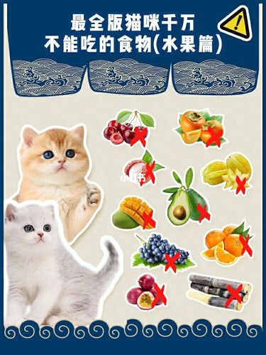 猫咪能吃什么水果,猫咪能吃什么水果和蔬菜,猫猫能吃的水果？