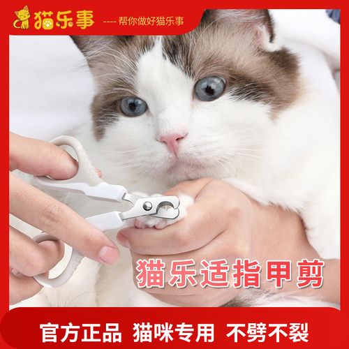 猫咪指甲钳怎么用,猫咪指甲钳怎么用图解,猫指甲怎么剪才正确？