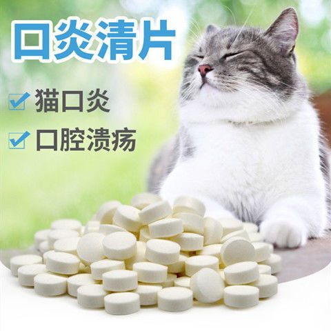 猫咪能吃什么消炎药,猫咪能吃什么消炎药最好,猫得口炎吃什么消炎药？