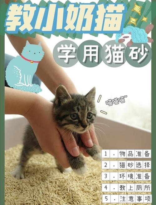 如何训练猫咪用猫砂,如何训练猫咪用猫砂盆拉屎,小奶猫怎么训练尿猫砂？