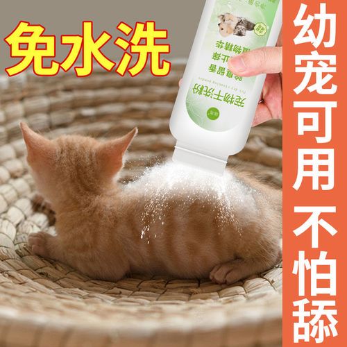 猫咪干洗粉怎么用,猫咪干洗粉怎么用视频,猫去油的正确方法？