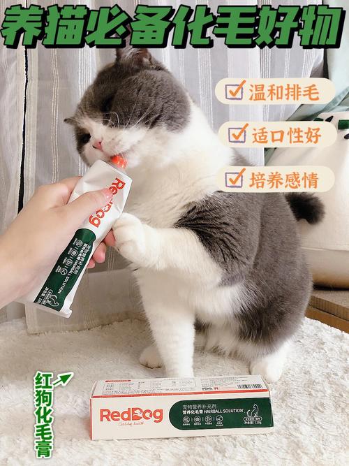 猫咪为什么要吃化毛膏,猫咪为什么要吃化毛膏?,猫咪什么时候需要吃化毛膏？