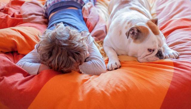 如何让狗狗睡觉,怎样让狗狗睡觉,小狗白天睡觉，晚上要直叫小上床，该怎么办？