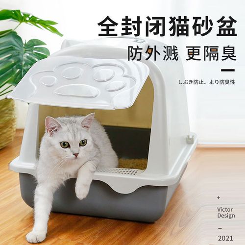 如何教猫用猫砂盆,如何教猫用猫砂盆视频,怎么教猫用猫砂？