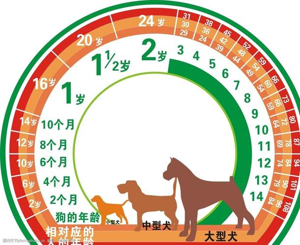 如何判断狗狗的年龄,如何判断狗狗的年龄?,狗狗三岁相当于人类多大？