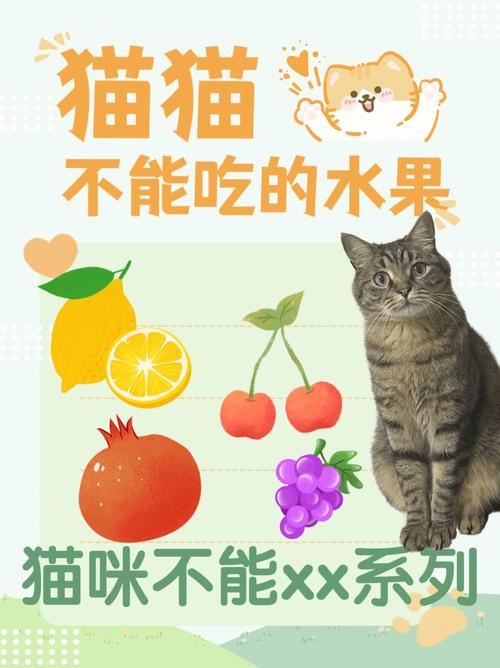 猫吃什么水果,猫吃什么水果蔬菜对身体好,猫吃什么水果好？