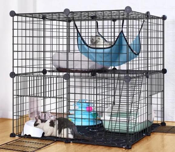 小猫在笼子里一直叫,小猫在笼子里一直叫是什么原因,猫咪关进笼子一直叫咋办？