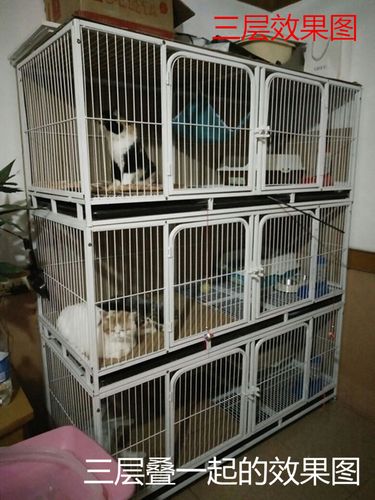 小猫放笼子里养可以吗,猫白天散养晚上关笼子好吗,猫放在笼子里养行吗？