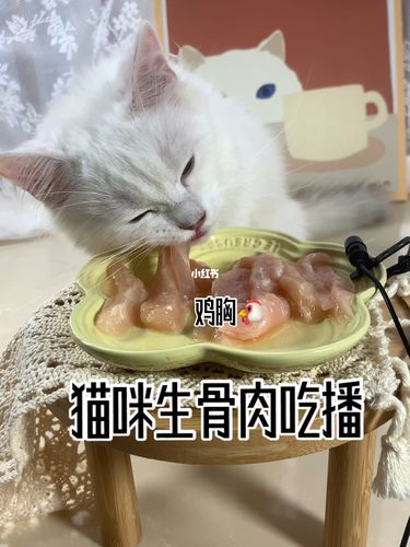 猫咪生骨肉,猫咪生骨肉做法,猫咪生骨肉处理方法？