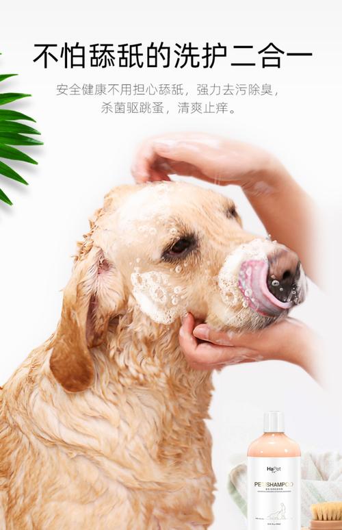 狗狗用什么洗澡,狗狗用什么洗澡好,请问给狗洗澡是用沐浴露还是洗发水？