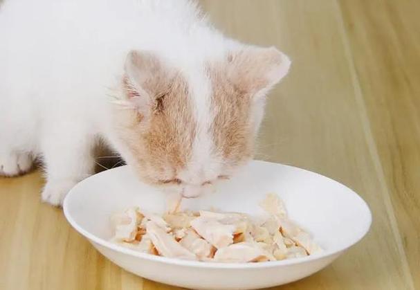 猫咪吃鸡胸肉,猫咪吃鸡胸肉的好处和坏处,猫喂鸡胸肉好还是猫粮好？