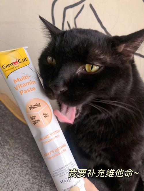 猫咪营养膏,猫咪营养膏多久吃一次,猫吃营养膏好吗，猫咪营养膏多久吃一次？