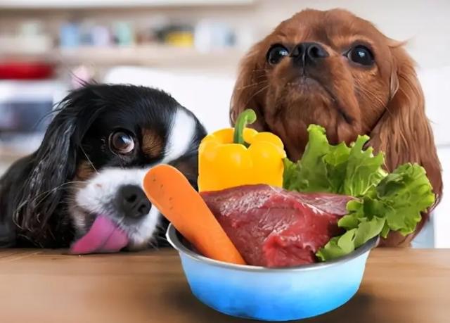狗一般吃什么,狗一般吃什么食物,狗狗可以吃鸭血鸭内脏吗？