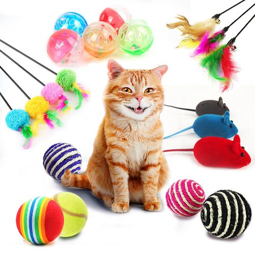 猫玩什么玩具,成年猫玩什么玩具,猫自己玩的玩具？