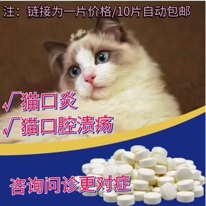 猫咪口腔溃疡,猫咪口腔溃疡用什么药,猫口腔溃疡的症状？