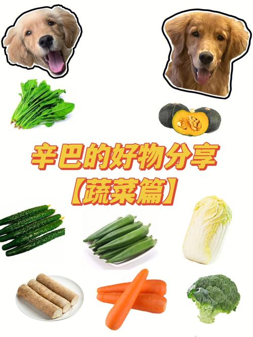 狗吃什么菜,狗吃什么菜比较好,狗除了狗粮，还喜欢吃什么？