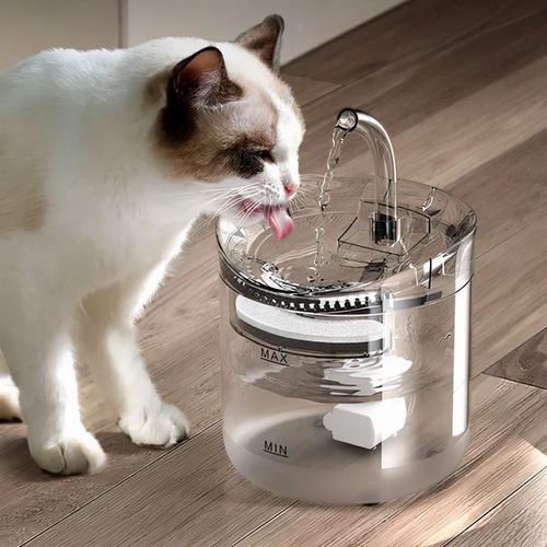 猫咪一直喝水,猫咪一直喝水有问题吗,猫咪喜欢喝水是好事吗？