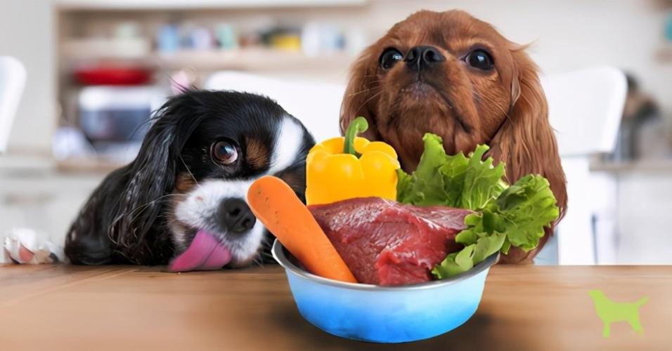 狗狗适合吃什么,狗狗适合吃什么蔬菜,一般宠物狗吃什么东西的,大概量是多少？