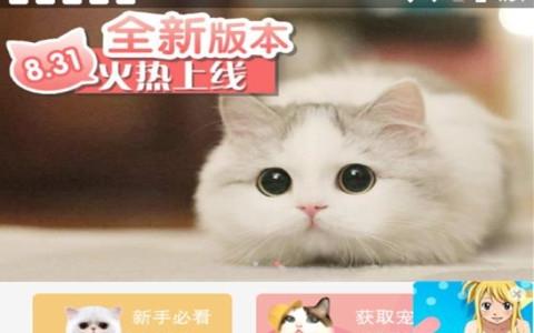 猫咪社区 下载,猫咪社区下载app下载最新版,十大正规宠物交易平台？
