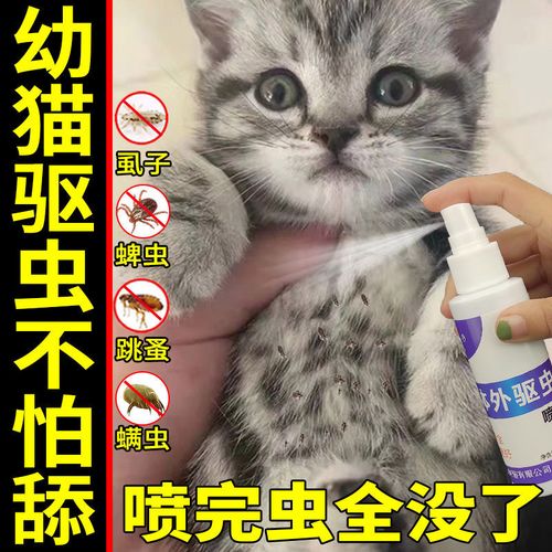 猫咪体外驱虫药,猫咪体外驱虫药被猫舔到会怎么样,猫咪体外驱虫药过量了怎么解决？