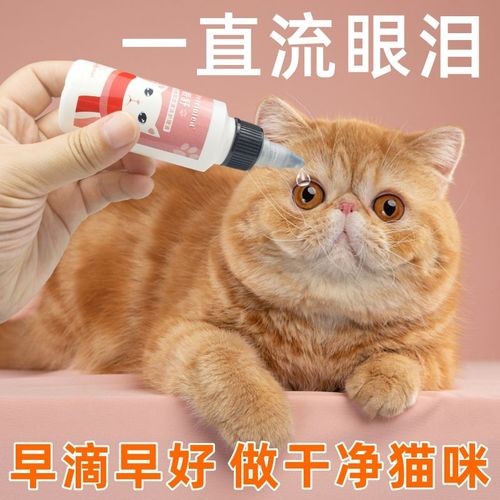 加菲猫用什么眼药水,加菲猫用什么眼药水比较好,加菲猫流眼泪怎么办，猫咪可以人用的眼药水吗？